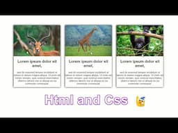 How to Create Post Cards Using HTML and CSS | box Contents text with image