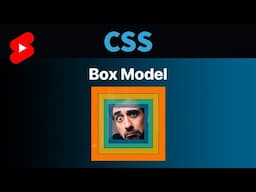 CSS Box Model in 1 Minute #shorts